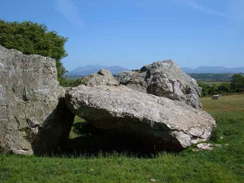 Henblas Capstone