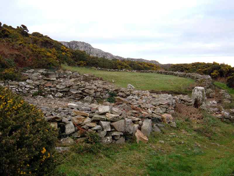 structures a little way from the main Ty Mawr site