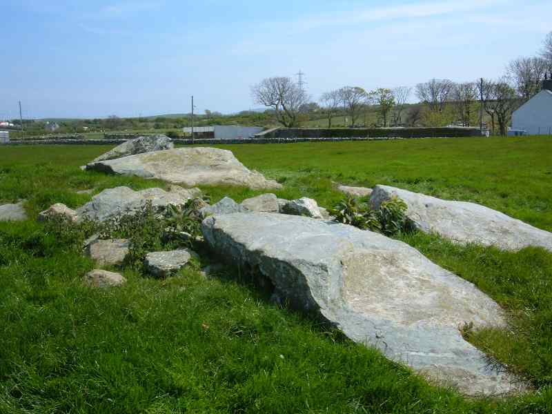 Llanfechell Cromlech - the whole