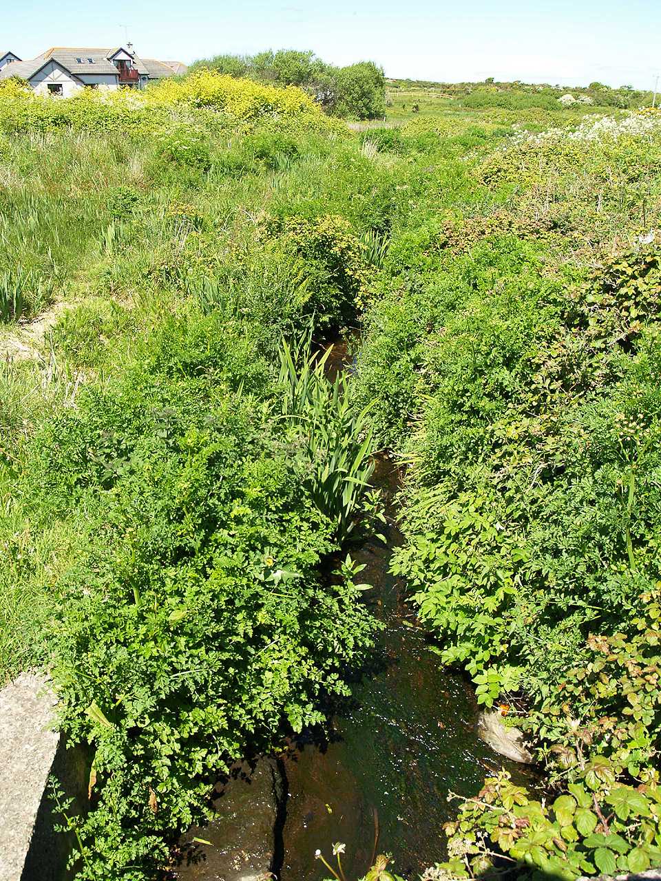 Holyhead, Felin Ddwr River