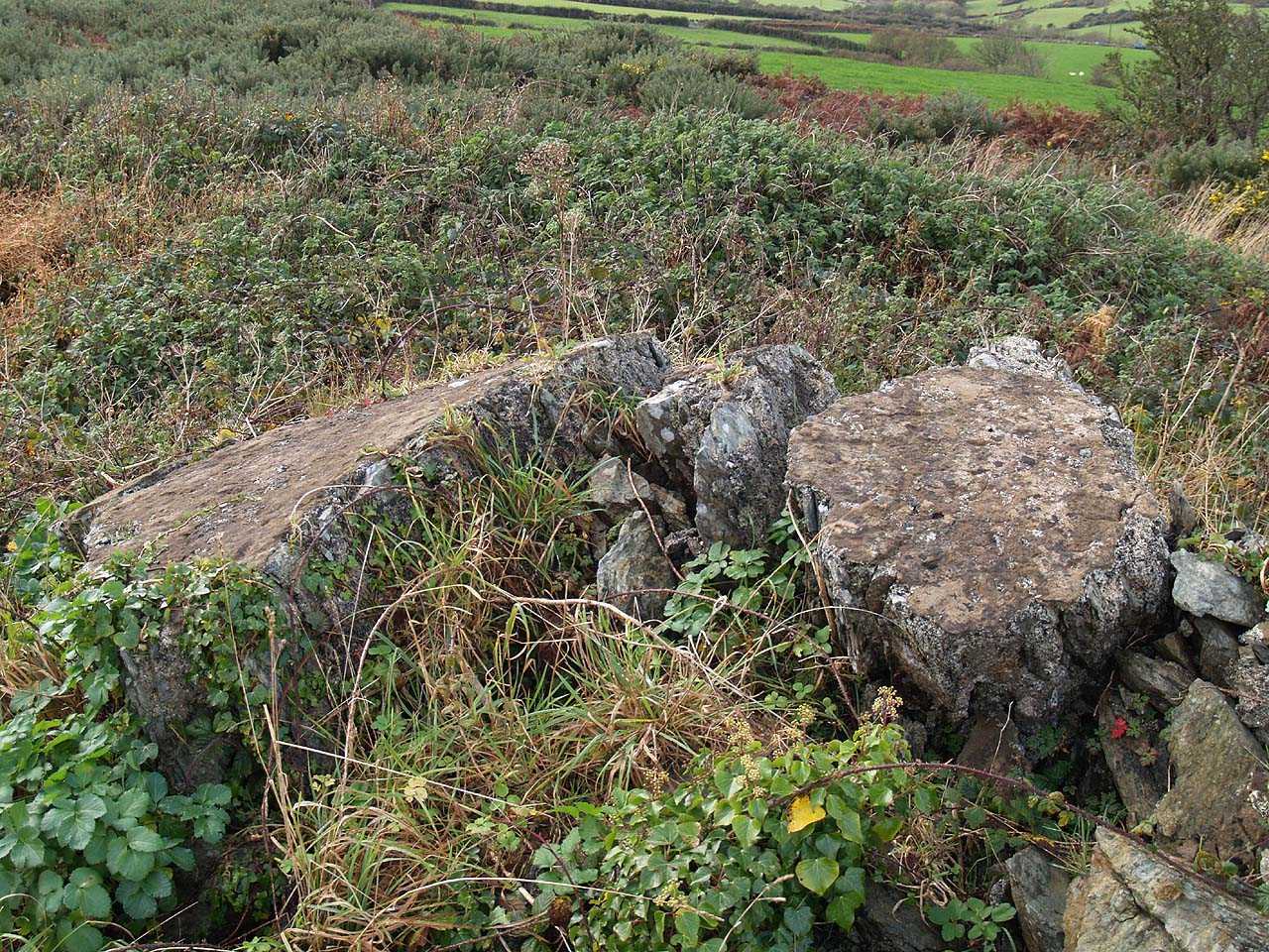Rhydwyn, Melin Cylch Y Garn Windmill - a collapsed wall